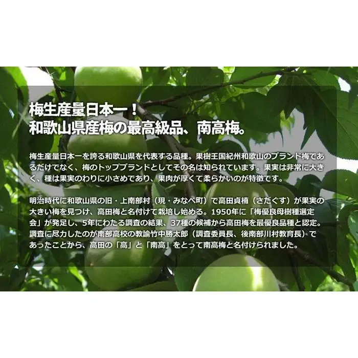 和歌山県産 紀州南高梅 完熟 秀品 5kg（3L以上〜Lサイズ混合）