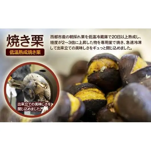【先行予約】秋の味覚！ 熟成焼き栗 2パック 合計500g＜49-12a＞