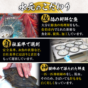カワハギ 刺身セット (総量280g・4-6人前)かわはぎ 肝 身皮 切身 切り身 ポン酢 ぽん酢 鮮魚 冷凍 養殖 国産 大分県 佐伯市 フジテレビ ノンストップ いただき！ハウマッチ【GO002】【(株)水元】