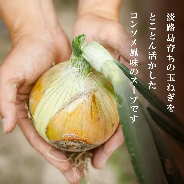 淡路たまねぎスープセット（フライドオニオン付）60食   スープ