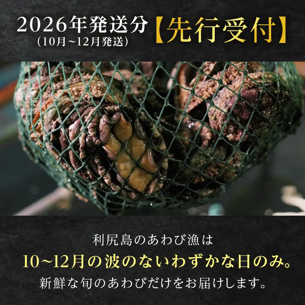 【2026年発送予約】利尻島産 直送！I 利尻あわび 天然 生えぞあわび 500g 鮑 海鮮 冷蔵 お刺身 魚介 お祝い【福士水産】 北海道ふるさと納税 北海道産 アワビ 産地直送 蝦夷あわび