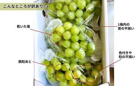 《2026年発送 先行予約》 山形県産 訳あり シャインマスカット 1.8kg 3～4房 マスカット ぶどう ブドウ 葡萄 デザート フルーツ 果物 くだもの 果実 食品 山形県 FSY-0580