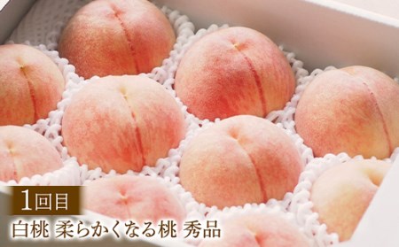 【2026年先行予約 定期便3回】 桃が好き！旬の桃食べつくし定期便 各2kg FSY-2388