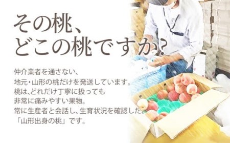 《先行予約 令和8年発送》山形県産 おどろき白桃 秀品 3kg もも モモ 桃 デザート フルーツ 果物 くだもの 果実 食品 山形県 FSY-0583