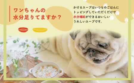 26-430．【3回定期便】いつものごはんにかけるだけ！国産豚肉と高知野菜のビタミンたっぷりスープ 12袋セット×3回配送（合計36袋）【ペットフード】