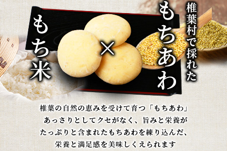 焼畑農家がつくった あわもち 10個【日本三大秘境の地「椎葉村」からお届け】あわ 粟 アワ 雑穀 YS-47
