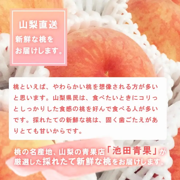 【2026年発送★先行予約】厳選!!池田青果の桃　2kg　5～8玉 173-004