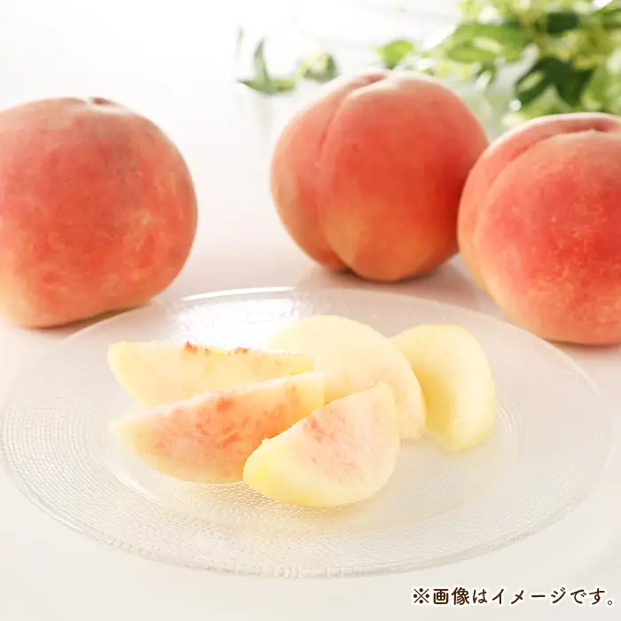 もも【あかつき・2026年産】特秀3kg（9～11玉）桑折町振興公社 ／ もも モモ 果物 フルーツ 旬 甘い 甘み ジューシー 果肉 果汁 新鮮 フレッシュ デザート おいしい 産地直送 桑折 こおり こおりまち 福島県 特産品 No.181