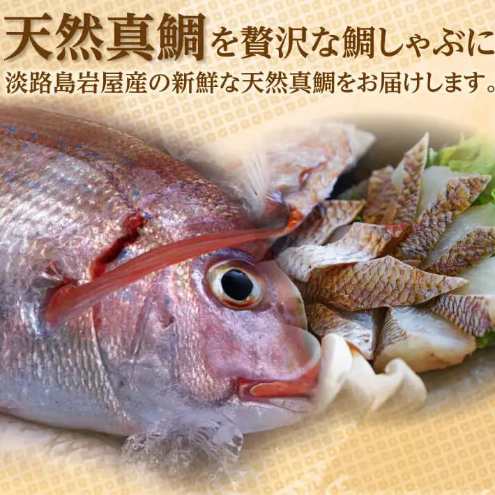 淡路島「天然岩屋鯛」しゃぶしゃぶセット(約3人前)【お届け日指定返礼品】