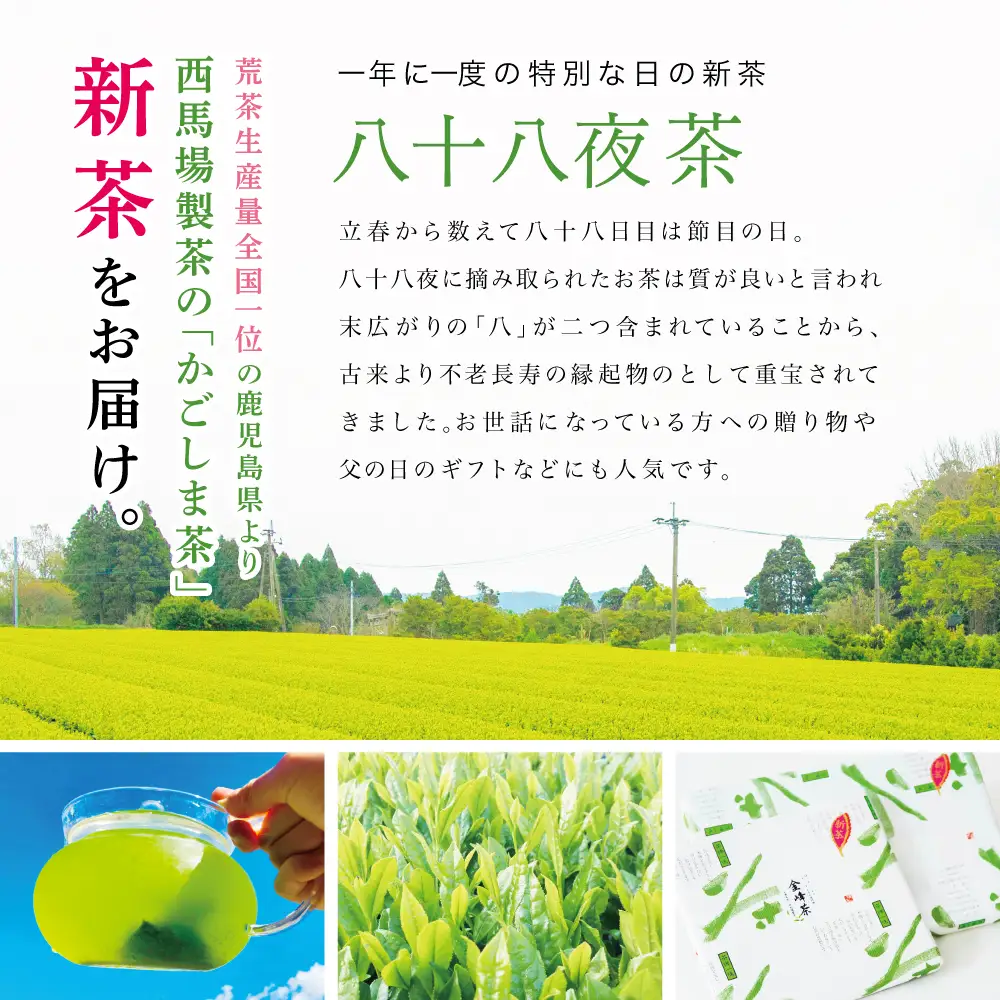 【新茶】 きんぽう 八十八夜茶 5本セット ＜2026年：5月中旬出荷開始＞ 西馬場製茶 鹿児島県産 緑茶 かごしま茶 お茶 日本茶 茶葉 煎茶 旬 季節 リーフティー ティータイム 飲み物 ドリンク ギフト 贈答 手土産 贈り物 プレゼント 南さつま市