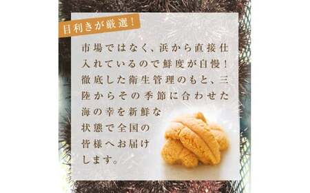 ＜先行予約：2026年5月下旬以降順次発送＞ 生うに 160g（80g×2）塩水 宮城県産 生ウニ 雲丹 うに ウニ