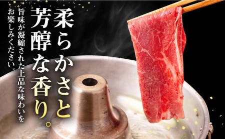 【全6回定期便】壱岐牛 モモスライス（すき焼き・しゃぶしゃぶ・焼肉）500g《壱岐市》【株式会社イチヤマ】 肉 牛肉 モモ スライス [JFE084] 144000 144000円