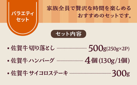 佐賀牛バラエティセット（切り落とし 500g＆ハンバーグ 4個＆サイコロステーキ 食べ比べ 300g）/ 牛肉 [IAH205]
