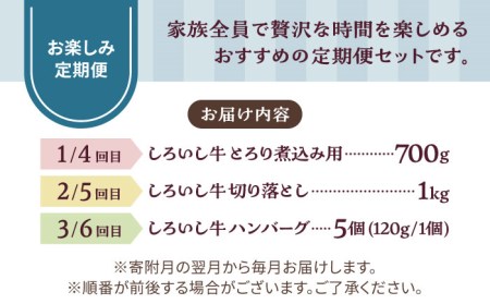 【6回定期便】家族向け お楽しみ 定期便/ 牛肉 [IAH210]