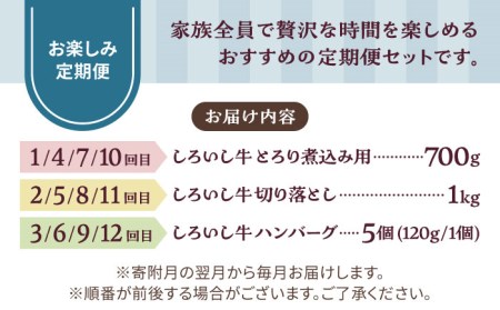 【12回定期便】家族向け お楽しみ 定期便/ 牛肉 [IAH211]