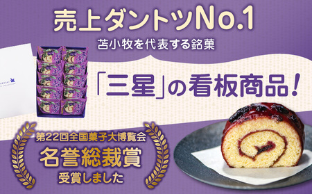 【 よいとまけ 10個 】 ひと切れ 個包装 T044-001 スイーツ お菓子
