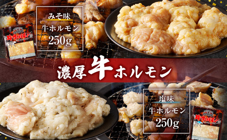 金剛園 特製ホルモンセット 全4種 4パック 合計940g　T054-001 肉 牛肉