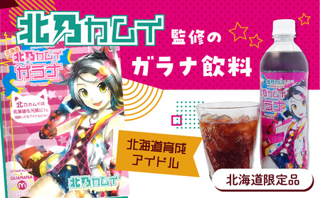 【ガラナ 500ml×24本】北乃カムイ　T057-002 飲料