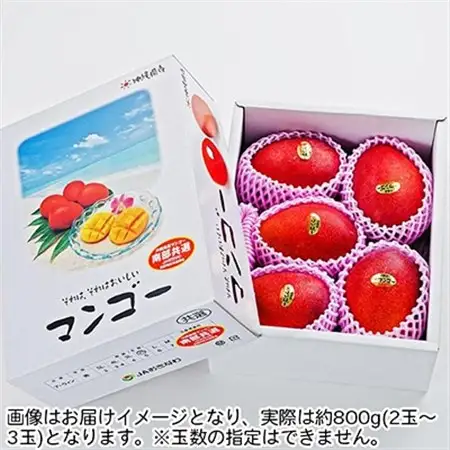 【2026年6月中旬から順次発送・優品】完熟アップルマンゴー約800g(2玉～3玉)【配送不可地域：離島】【1390897】