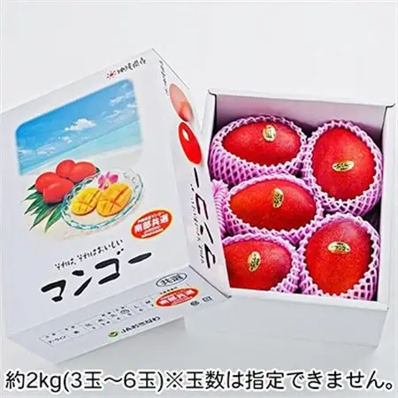 【2026年6月中旬から順次発送・優品】完熟アップルマンゴー約2kg(3玉～6玉)【配送不可地域：離島】【1390905】