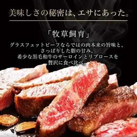 和牛道ステーキセット(サーロイン200g・リブロース200g) 国産 黒毛和牛 グラスフェッドビーフ_肉 ステーキ 牛肉 ビーフステーキ  肉 黒毛和牛 牛肉 _【配送不可地域：離島】【1397947】