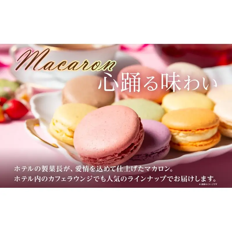  マカロン 5個入り×2箱 セット 菓子 おやつ スイーツ 洋菓子 生菓子 製菓  パティスリー オリジナル カフェ ティータイム 贈り物 ギフト 人気 土産 お取り寄せ 送料無料 ザ・ウィンザーホテル洞爺 洞爺湖