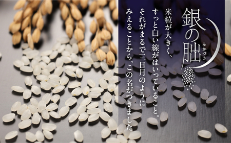 即納【2025年産米】銀の朏 2kg×1袋 ≪テレビで紹介!!幻の米≫【13-1】