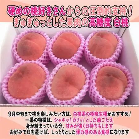 《2026年発送》桃 『白桃系さくら』 約2kg 5～8玉 朝もぎ 直送! 選び抜かれた桃【配送不可地域：離島】【1110149】