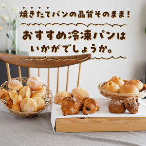 おすすめ冷凍パンセット 冷凍 パン セット 10種 20個入 塩糀あん バターフランス ミルクハース 焦がしバター クロワッサン 発酵バター メロンパン いちじく クルミ チョコクロワッサン ナチュラブール プチ 焼きカレーパン ベーコンエピ 防災 備蓄 お取り寄せ 送料無料