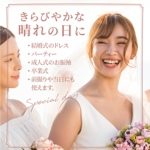 成人式　結婚式　髪飾り「泉」赤系 髪飾り ヘアアクセ ヘア アクセサリー 成人式 卒業式 入学式 結婚式 和装 洋装 花 プリザーブドフラワー ドライフラワー アジサイ かすみ草 泉 赤 白 晴れの日 華やか ヘッドパーツ 送料無料 お取り寄せ 生駒市