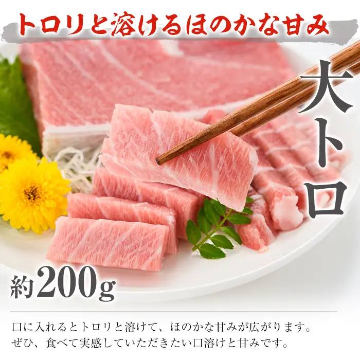 南まぐろの大トロ～赤身セット 南まぐろ刺身用大トロ、上トロ、中トロ、赤身（計1.4kg）贅沢三昧セット【00-019-05】