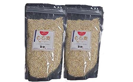 岩手県産 もち麦 はねうまもち 1kg （500g×2袋） 【 十一代目藤助】 ／ もちむぎ 雑穀 雑穀米 1キロ もち麦ご飯 ご飯 ごはん 麦ごはん 麦ご飯 お粥 おかゆ 主食 混ぜるだけ 混ぜて炊くだけ 簡単 小分け 便利 ジッパー付き 農家直送 産地直送