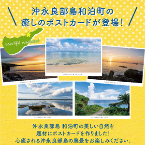 花と癒しの島！沖永良部島オリジナルポストカード（風景編） W060-001u 雑貨 日用品