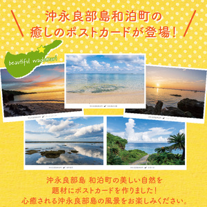 花と癒しの島！沖永良部島オリジナルポストカード（花編） W060-002u 雑貨 日用品