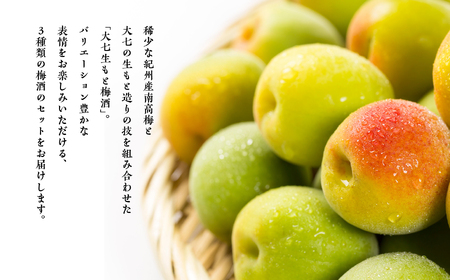 《2026年11月下旬以降順次発送》大七酒造 梅酒飲み比べセット「生もと梅酒 極上品720ml」「生もと梅酒300ml」「生もと梅酒シルキースパークリング300ml」合計3本【道の駅「安達」智恵子の里】