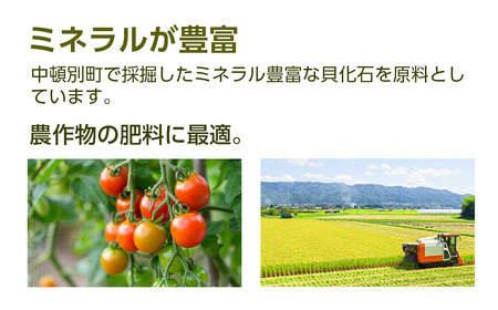 肥料 貝化石 20kg 1袋