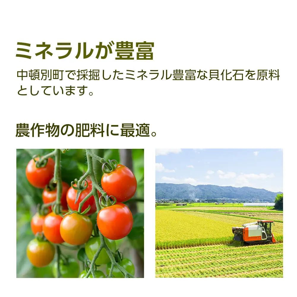肥料 貝化石 20kg 2袋