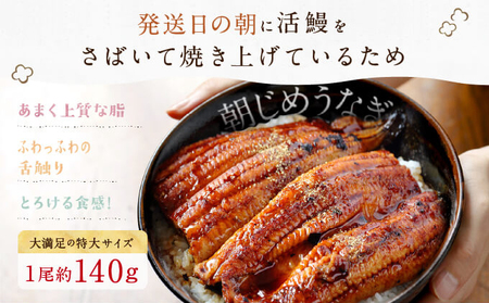うなぎ 浜松 溶岩焼き 蒲焼き 10尾 (約140g×5尾×2P) 朝じめ 鰻 タレ セット 土用の丑の日 丑の日 国産うなぎ 浜松うなぎ 浜名湖うなぎ 国産 ギフト プレゼント 贈答 レンジ 調理 レンチン 夏バテ防止 浜名湖 産地直送 冷蔵 冷蔵配送 静岡県 浜松市