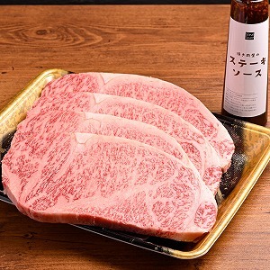【定期便6回】【数量限定】おおいた和牛 A5等級 和牛サーロイン&ヒレステーキ 定期便 6回コース 毎月届く ソース付き | お肉 肉 おにく にく 牛 牛肉 和牛 サーロイン ヒレステーキ ヒレ ステーキ セット 6回 定期 定期便 大分県産 九州産 国産 冷凍 大分県 中津市 送料無料