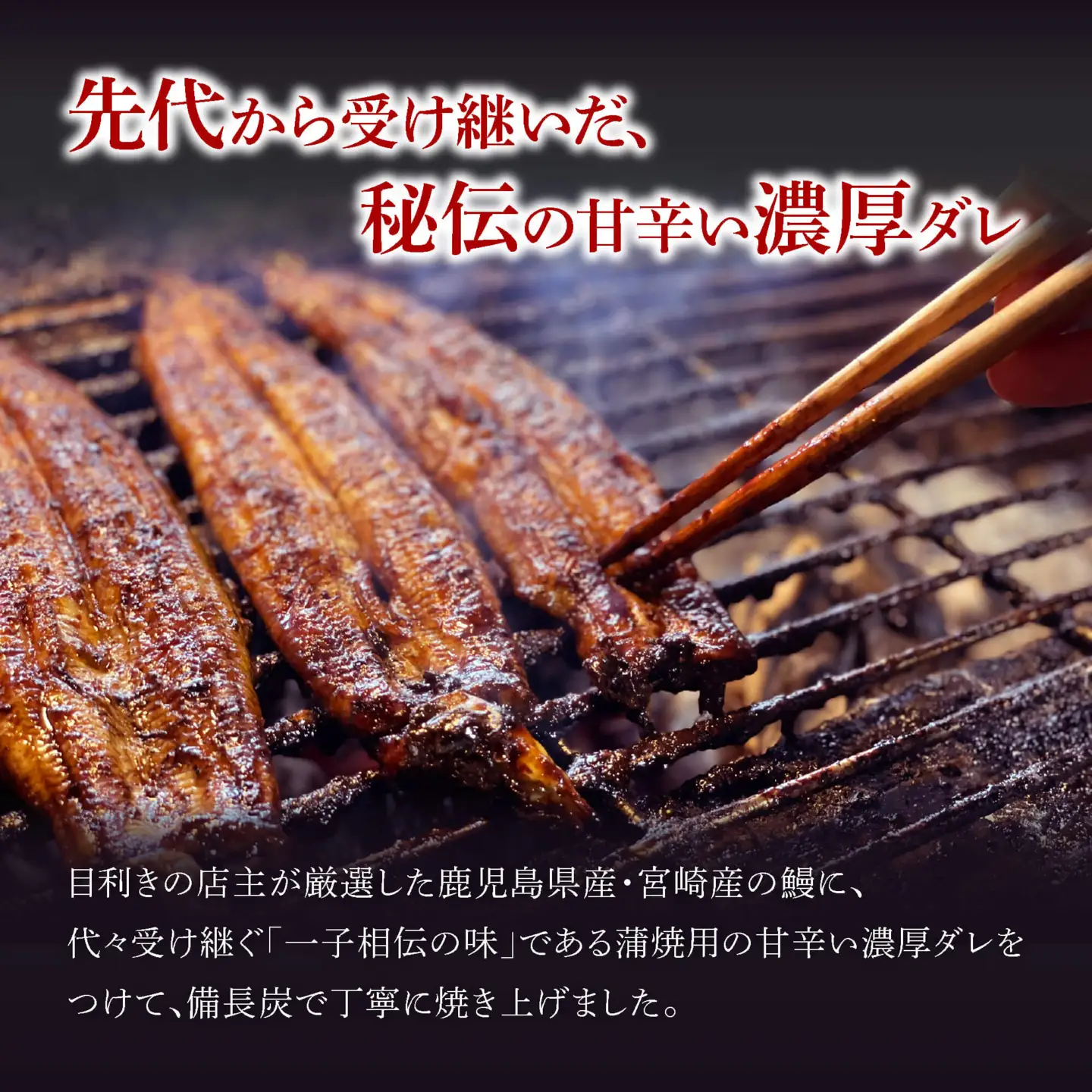 うなぎ 蒲焼3本九州産 | 豊後高田市 うなぎ
