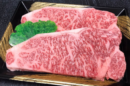 【数量限定】博多和牛 ロース 焼肉用 500g / 筑前屋 / 福岡県 筑紫野市 [21760386]