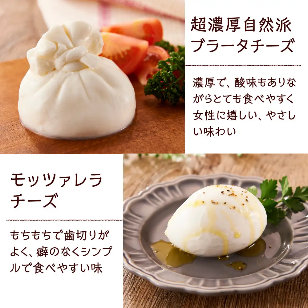 食の研究所 magazzinoのこだわり商品 詰め合わせ5品 冷凍 ブラータチーズ モッツァレラチーズ パテドカンパーニュ パテドジャパン 酒のあて