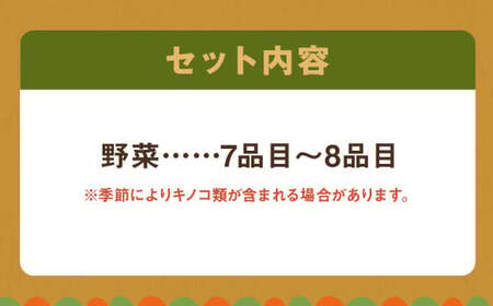 野菜のプロ40年が届けるこだわり野菜セット！ 7～8品目 詰め合わせ 【2026年1月上旬より順次発送予定】