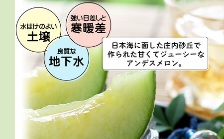【令和8年産先行予約】 アンデスメロン 約5kg(3～5玉) 山形県鶴岡産 庄内砂丘メロン　白砂ファーム