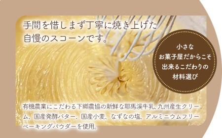 国産発酵バター仕込み濃厚リッチな九州産生クリームスコーン コーヒーＷチョコ10個セット | お菓子 菓子 おかし 洋菓子 焼き菓子 イギリス菓子 コーヒースコーン チョコスコーン コーヒー チョコ おやつ デザート スイーツ 手作り ティータイム アフタヌーンティー 大分県 中津市