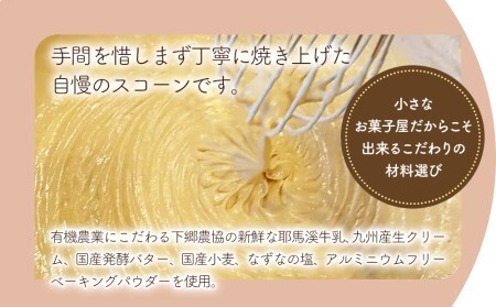 国産発酵バター仕込み濃厚リッチな九州産生クリームスコーン 濃厚ショコラ10個セット | お菓子 菓子 おかし 洋菓子 焼き菓子 イギリス菓子 濃厚 ショコラ ショコラスコーン チョコスコーン おやつ デザート スイーツ 手作り ティータイム アフタヌーンティー 大分県 中津市