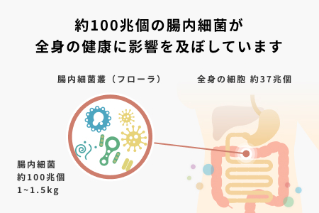 腸内フローラ検査を用いた管理栄養士による栄養指導