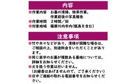 AS-529 ふるさと安心 墓守りｻﾎﾟｰﾄ(供花なし)