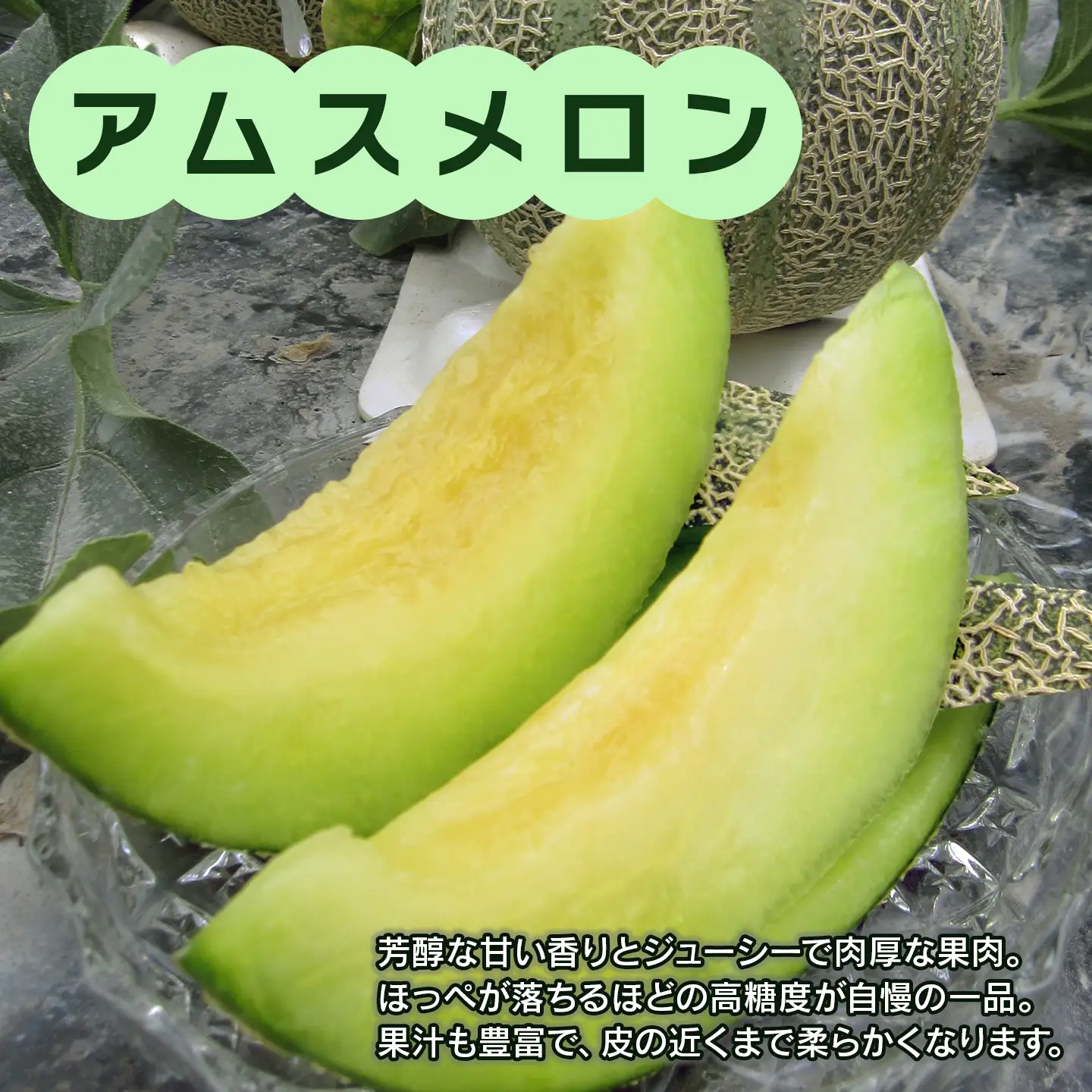 【2026年6月発送】周桑産アムスメロン（秀品）4Lサイズ2玉入 メロン
