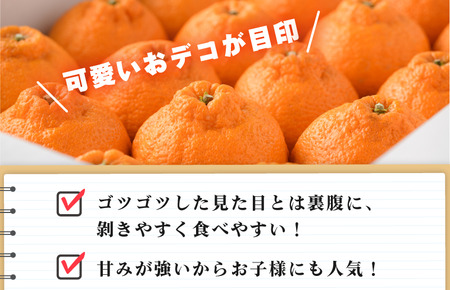 【先行予約】デコポン L～3L 18～24玉 JAおちいまばり　2027年2月中旬～3月中旬発送【KB02510】